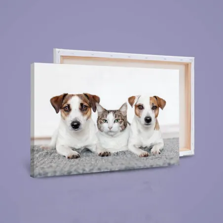 Lienzo 50x70 | Lienzocreativo