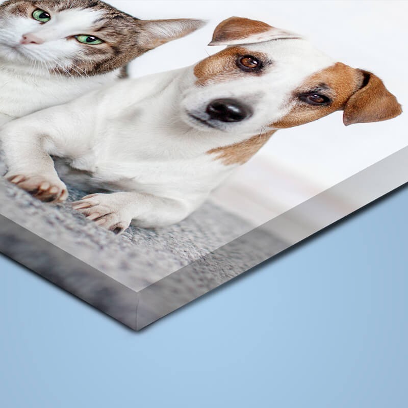 Lienzo 40x40 | Lienzocreativo